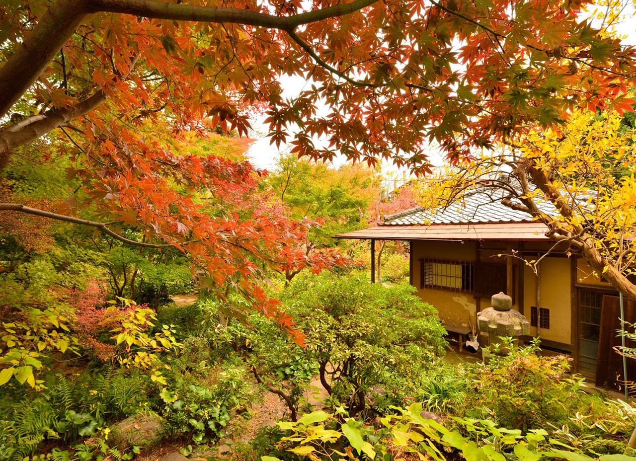 Breakfast at an old Japanese-style house